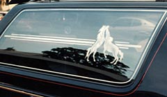 SUV / etched sidelite - stallions & graphic